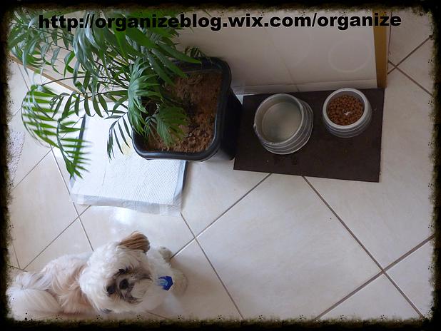 301032_6da9e496d40741d8a6f5411f2bf4a0d5