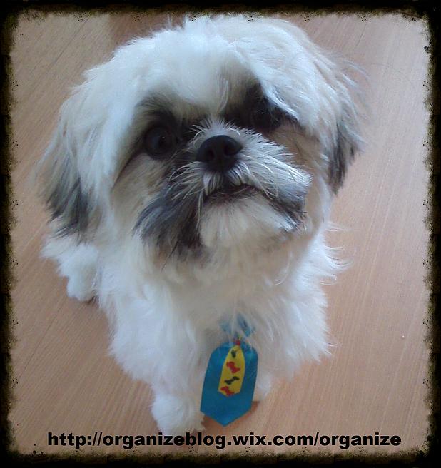 301032_ce7b06d8f9524e9bb2bdf769c6e3b734