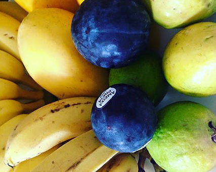 301032_3d5a7198608e470b9b36448e7b1df1c6