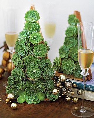 61242a226f1dbc263eefee37f194e62f