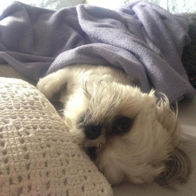 27654658_877289652443640_3717994035223385720_n