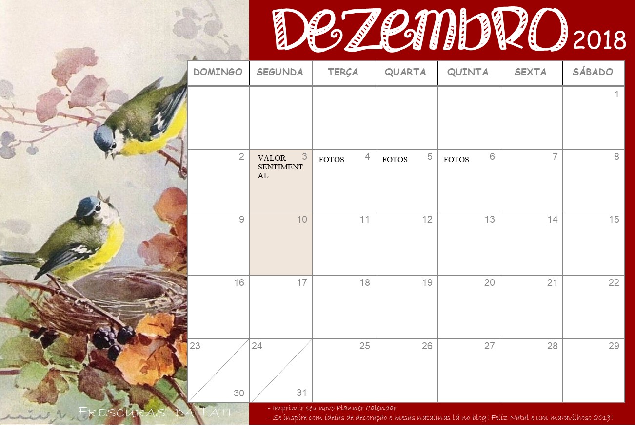 faxinão de fim de ano calendar dezembro