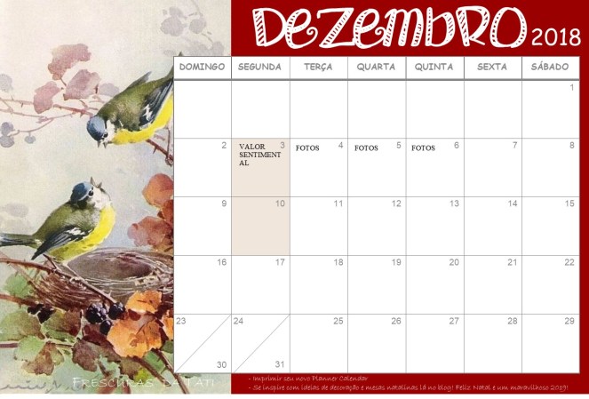 faxinão de fim de ano calendar dezembro