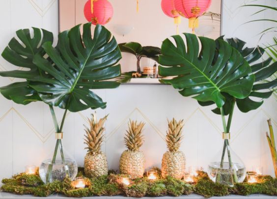 da4a766f3ed9126ed113b0e078d5df1f