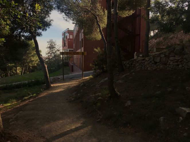 80802024_2650242128390978_2322481484885131264_o