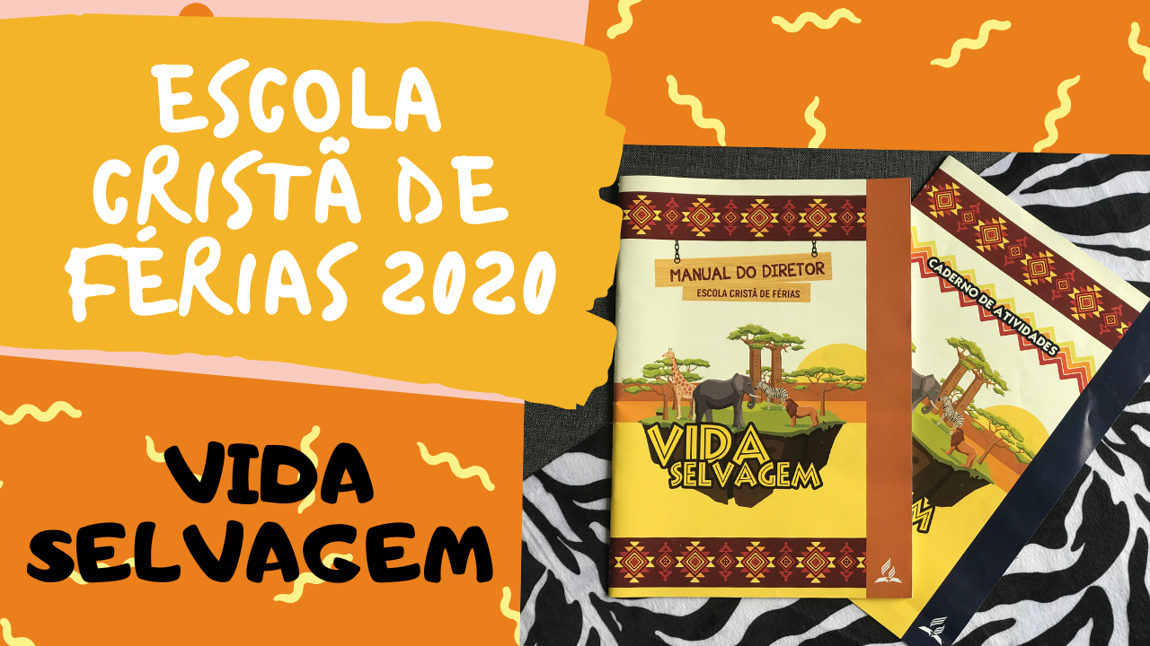 Cópia de Summer Lookbook